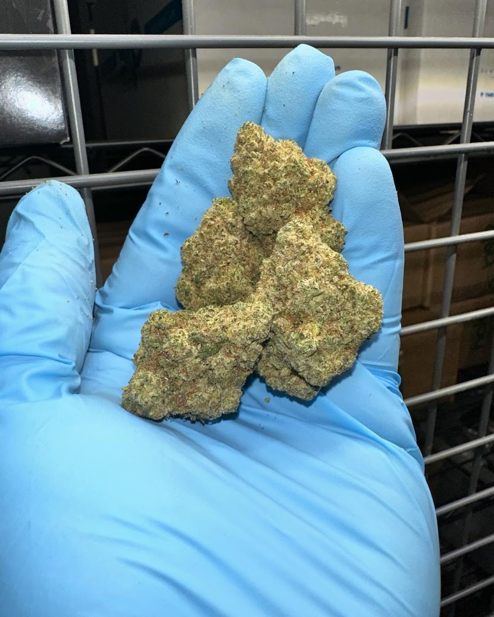 Deeply Rooted Boutique Cannabis Company photo 4