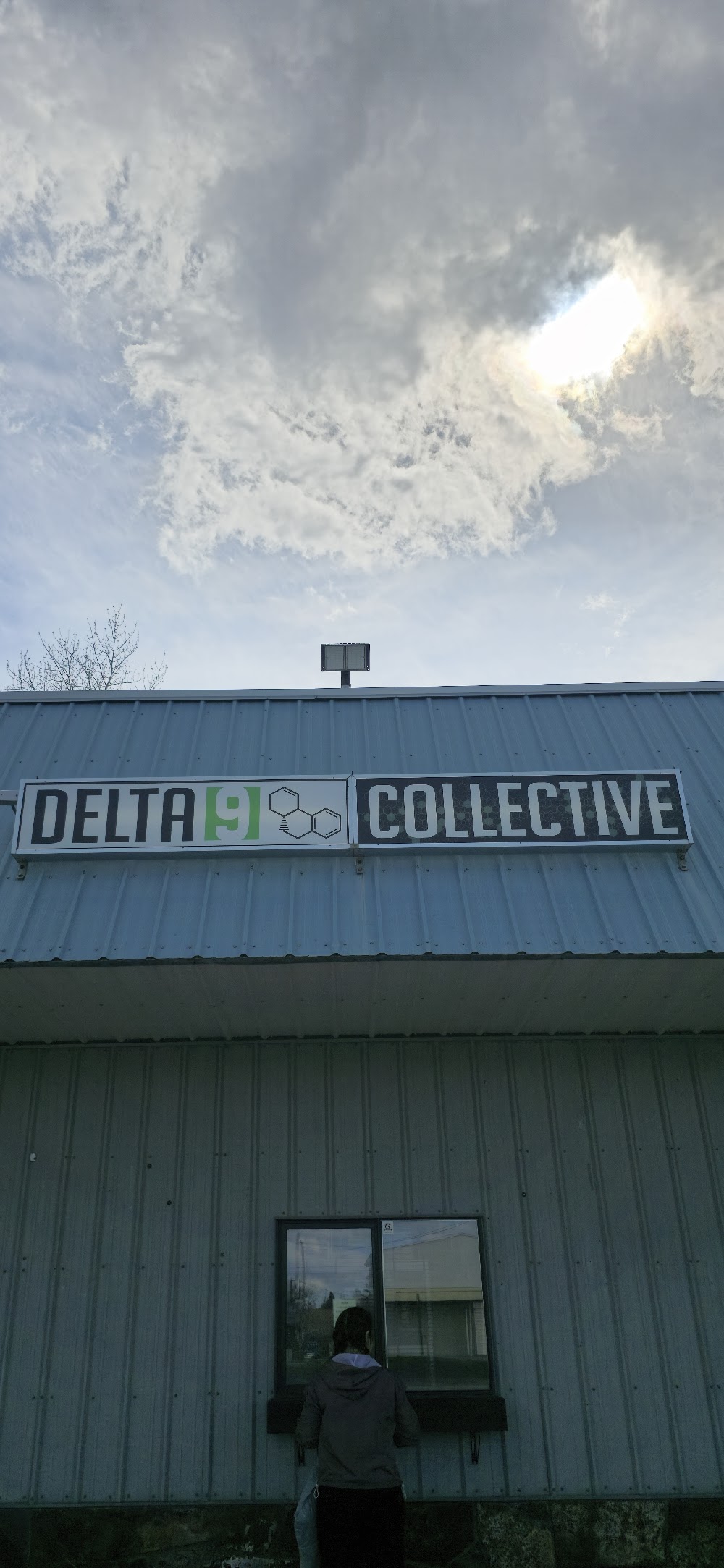 Delta 9 Collective photo 4