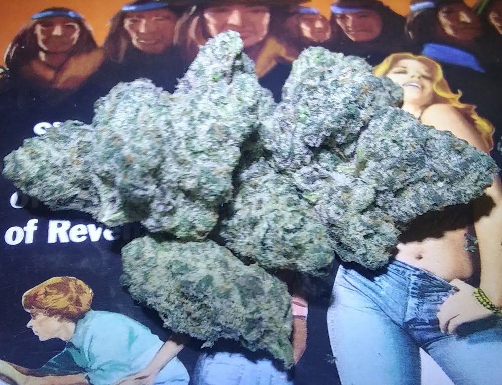 Deming Cannabis Company photo 6