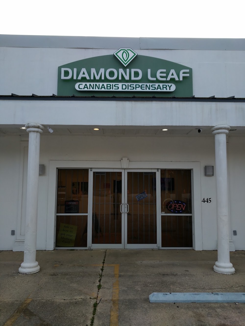 Diamond Leaf photo 1