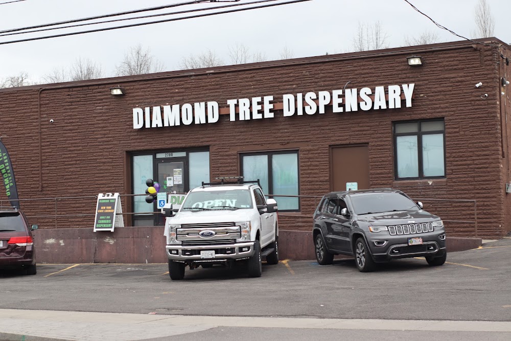 Diamond Tree Dispensary photo 1