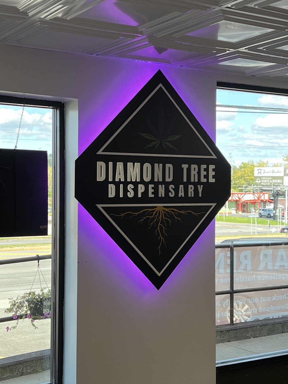 Diamond Tree Dispensary photo 5