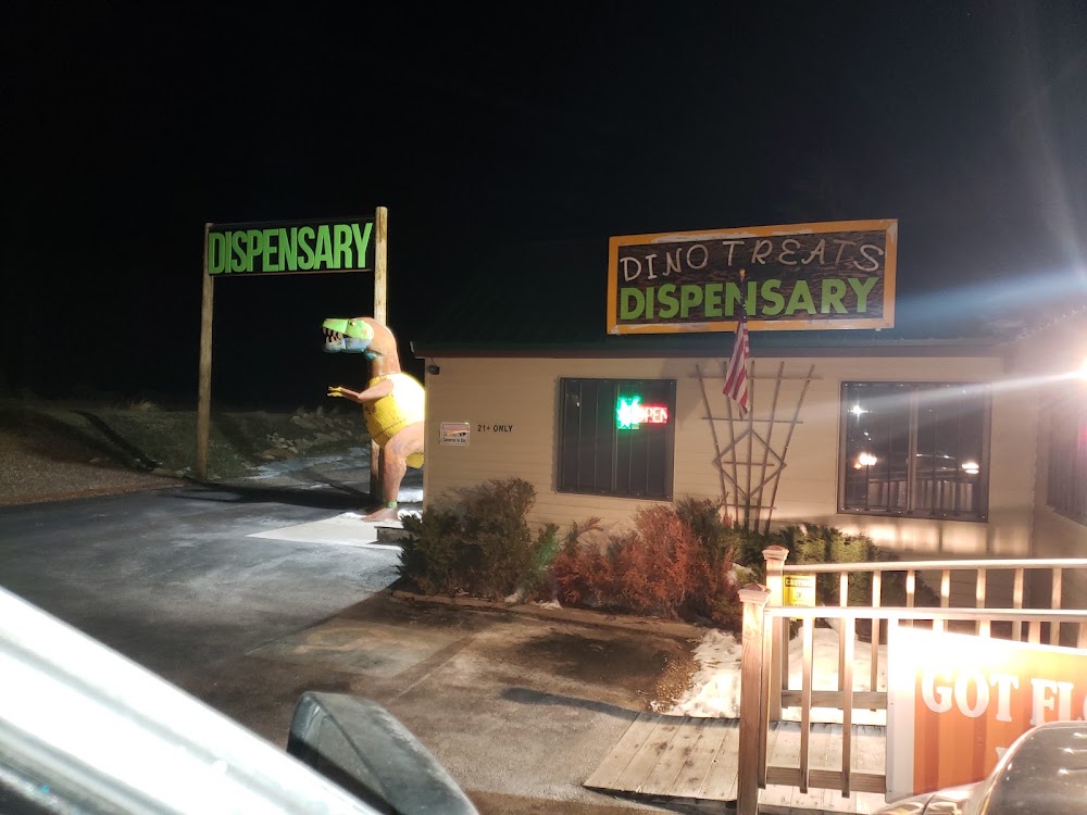 Dinotreats photo 4