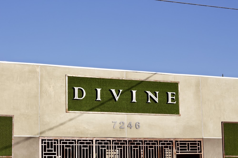 Divine Wellness Center photo 1