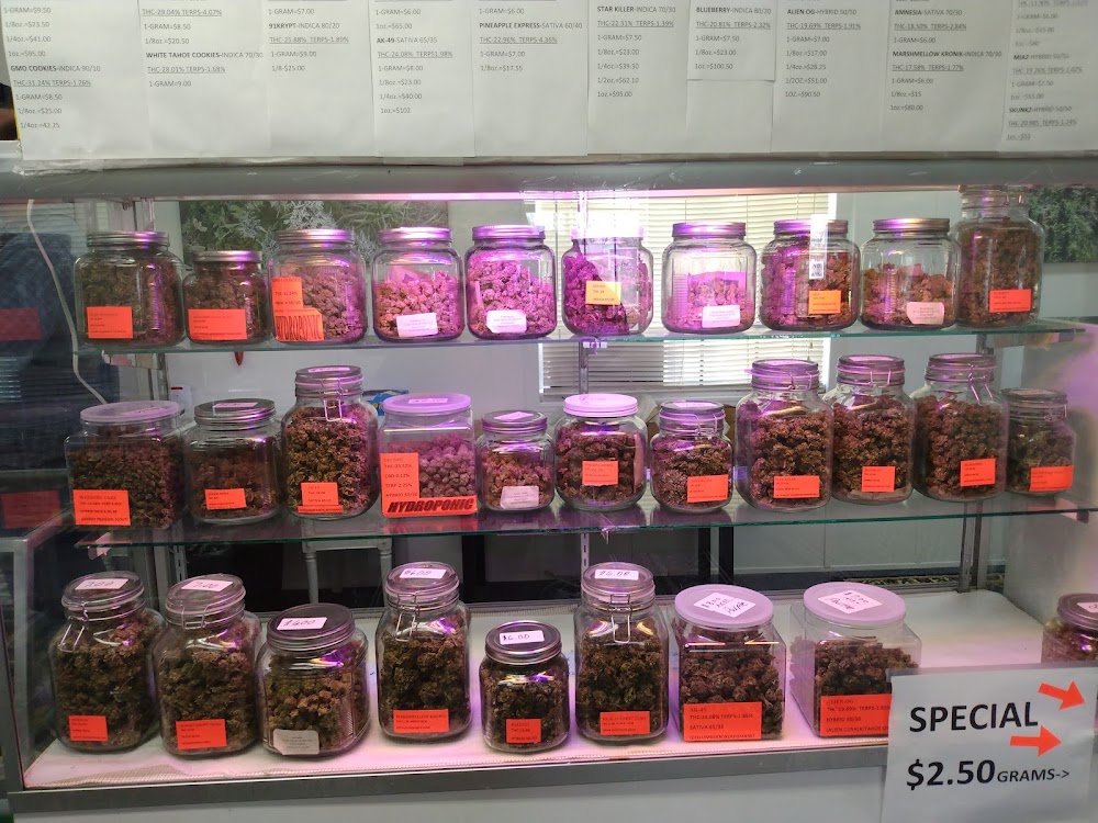 Doc's Med Grow photo 5