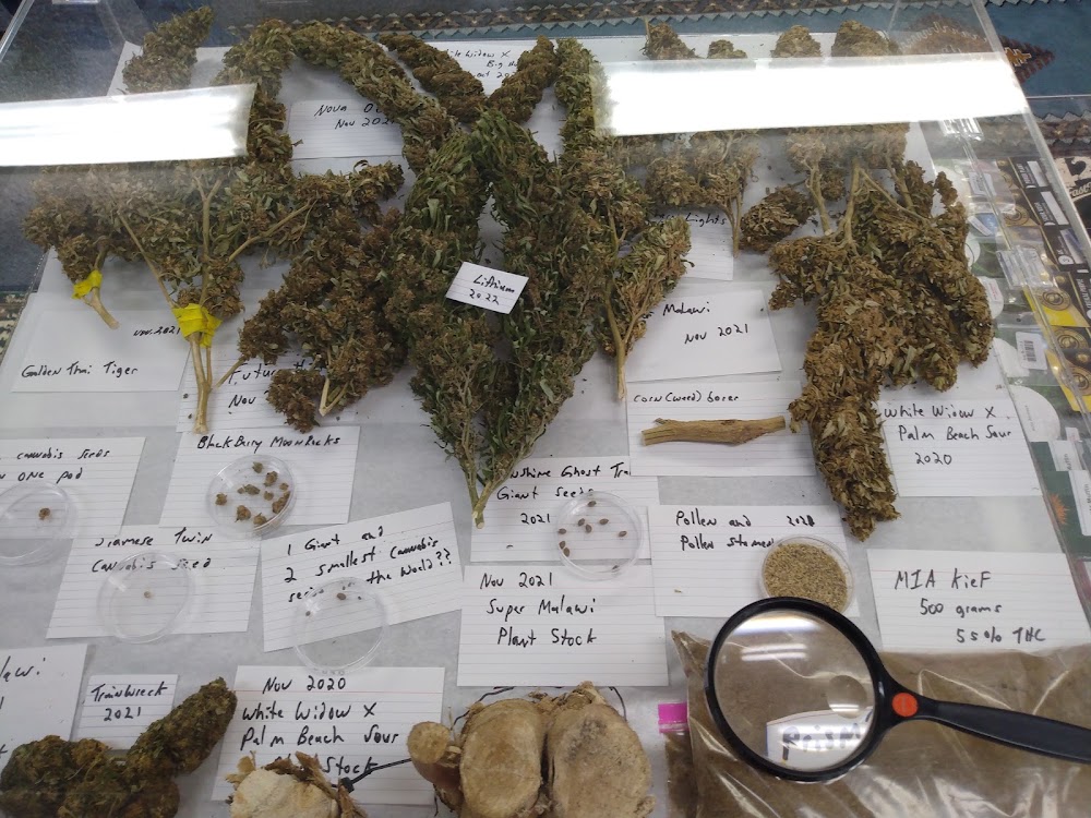 Doc's Med Grow photo 7