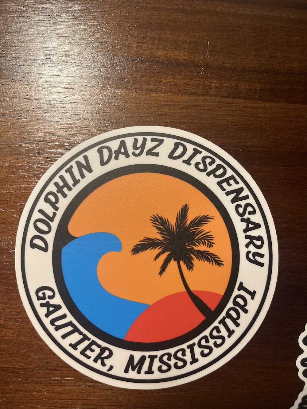 Dolphin Dayz photo 3