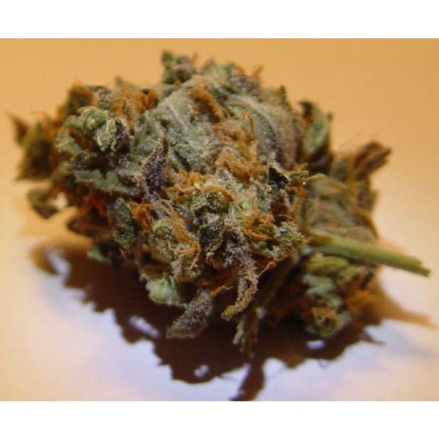 Dr Releaf photo 6