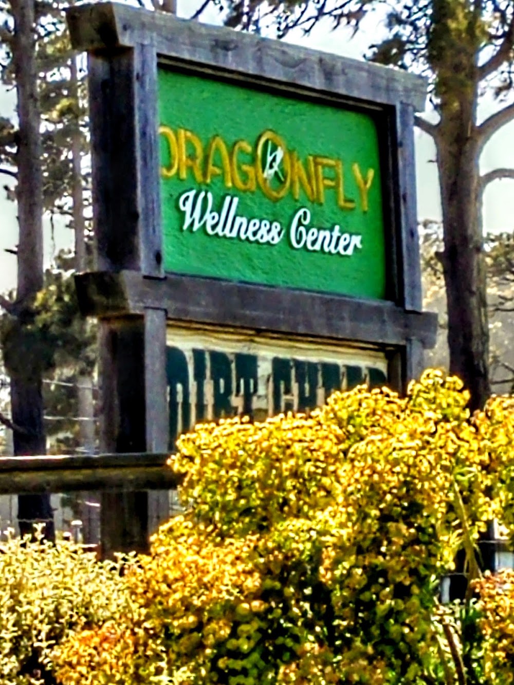 Dragonfly Wellness Center photo 3
