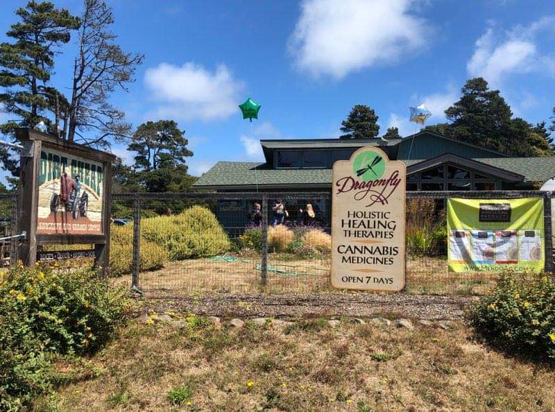 Dragonfly Wellness Center photo 5