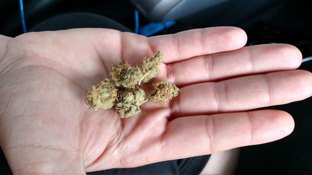 Durango Organics photo 4