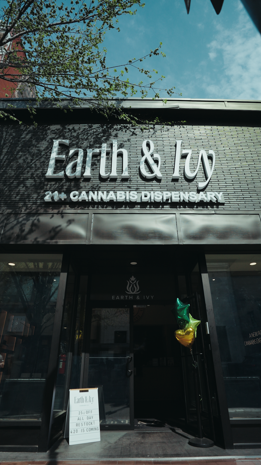 Earth & Ivy photo 1