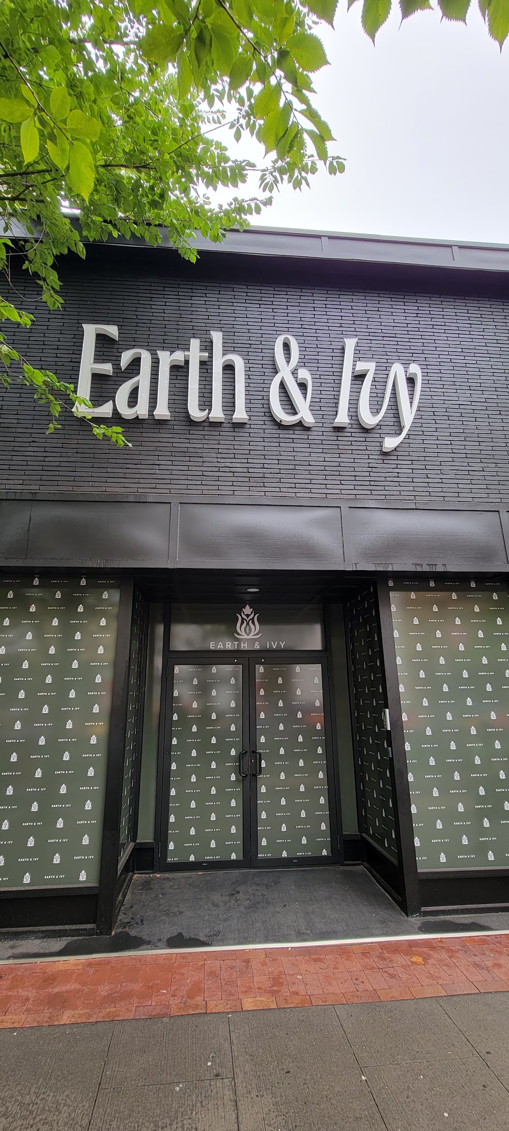Earth & Ivy photo 7