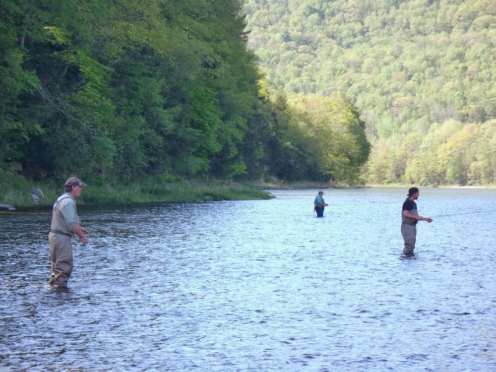 East Branch Holdings photo 3