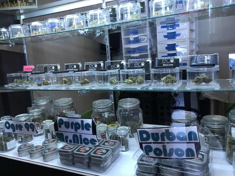 Ecocann photo 5