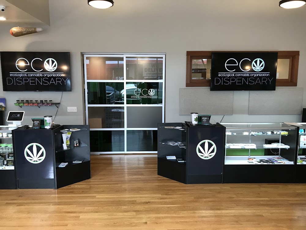 Ecocann photo 6