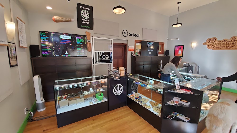 Ecocann photo 8