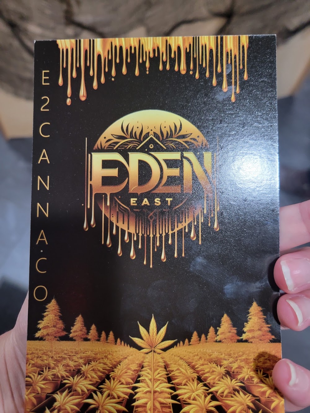 Eden East Garden photo 7