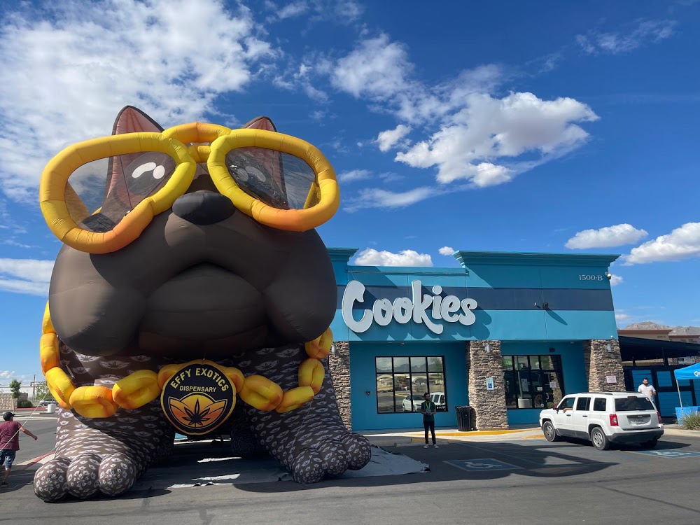Effy Exotics - Alamogordo photo 1