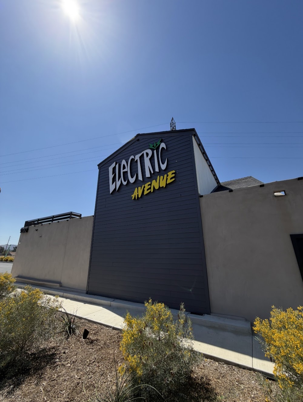 Electric Ave. Holdings photo 3