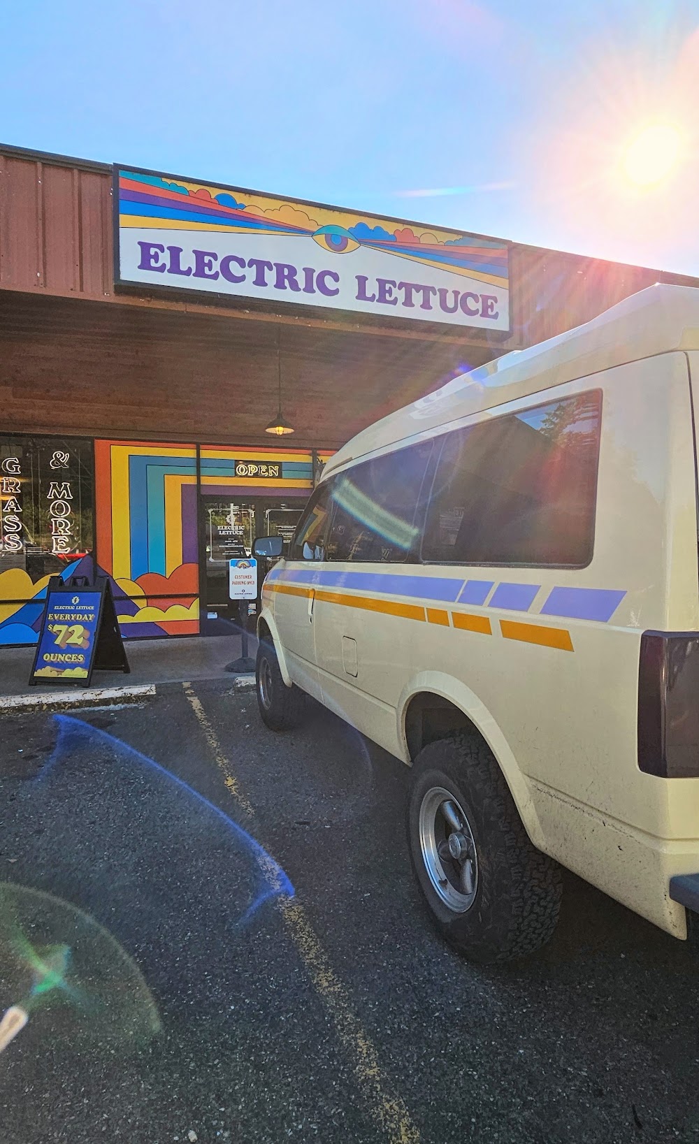 Electric Lettuce Damascus photo 7
