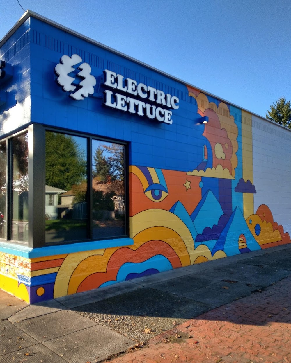 Electric Lettuce Eugene photo 3