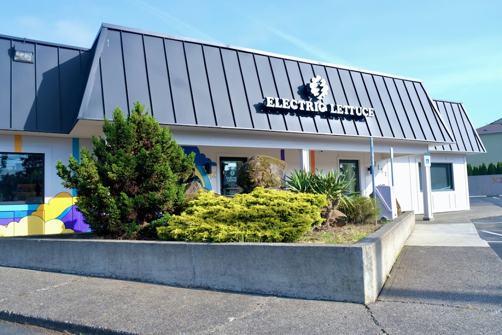 Electric Lettuce Holgate photo 1
