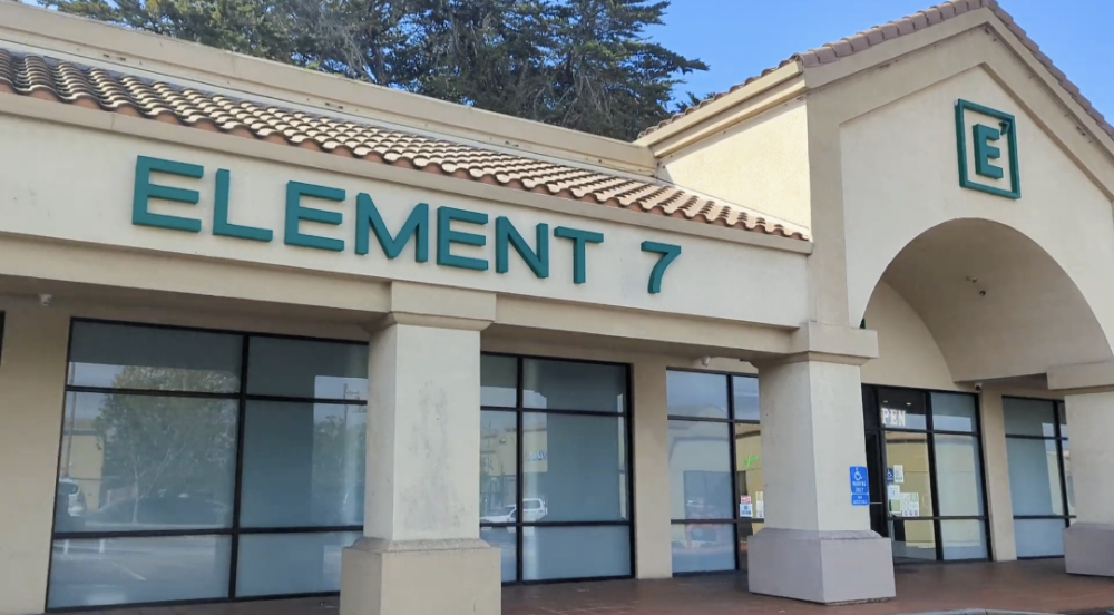 Element 7 Marina photo 7
