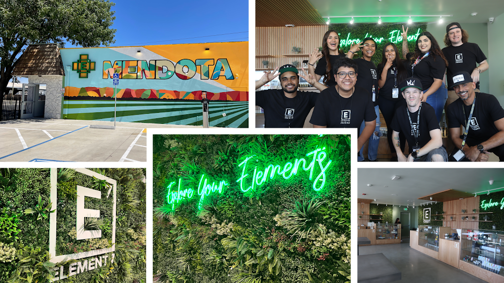Element 7 Mendota photo 7