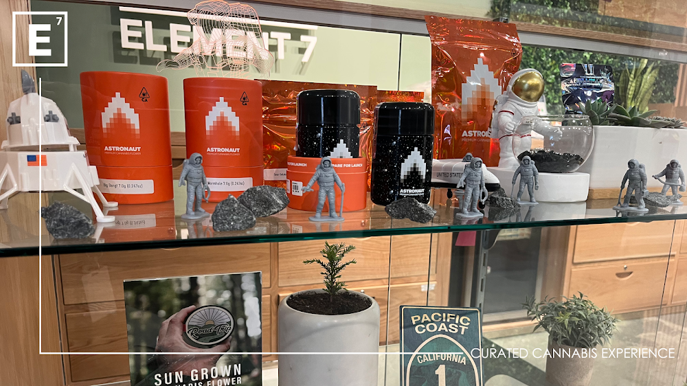 Element 7 Willits photo 3