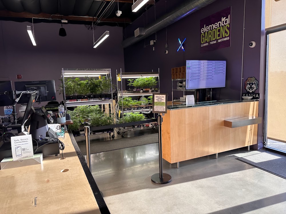 Elemental Wellness Center photo 1