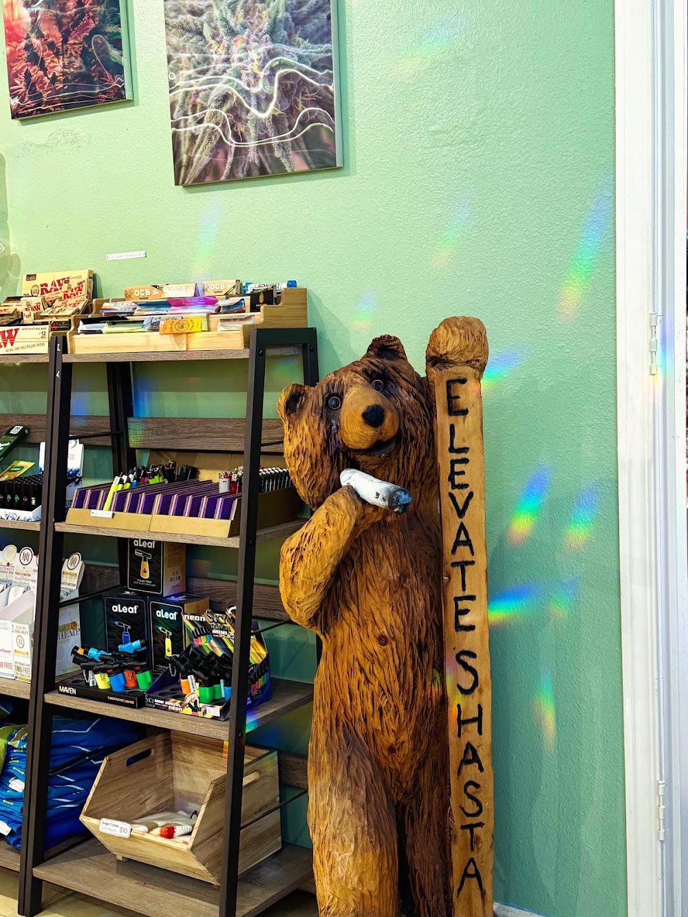 Elevate Shasta Wellness photo 2
