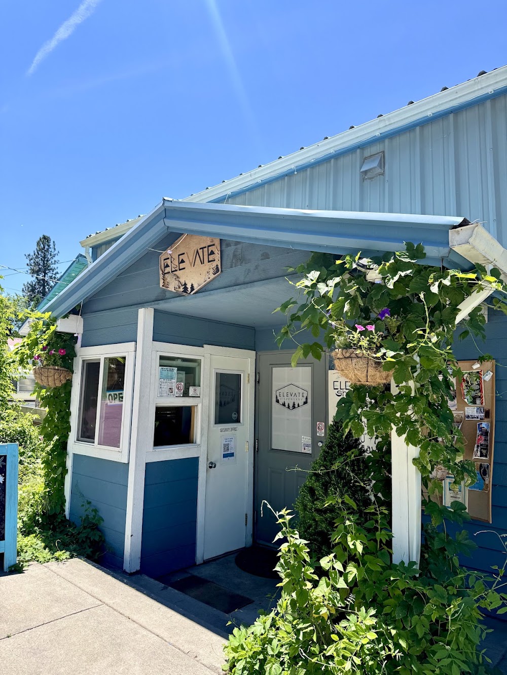 Elevate Shasta Wellness photo 3