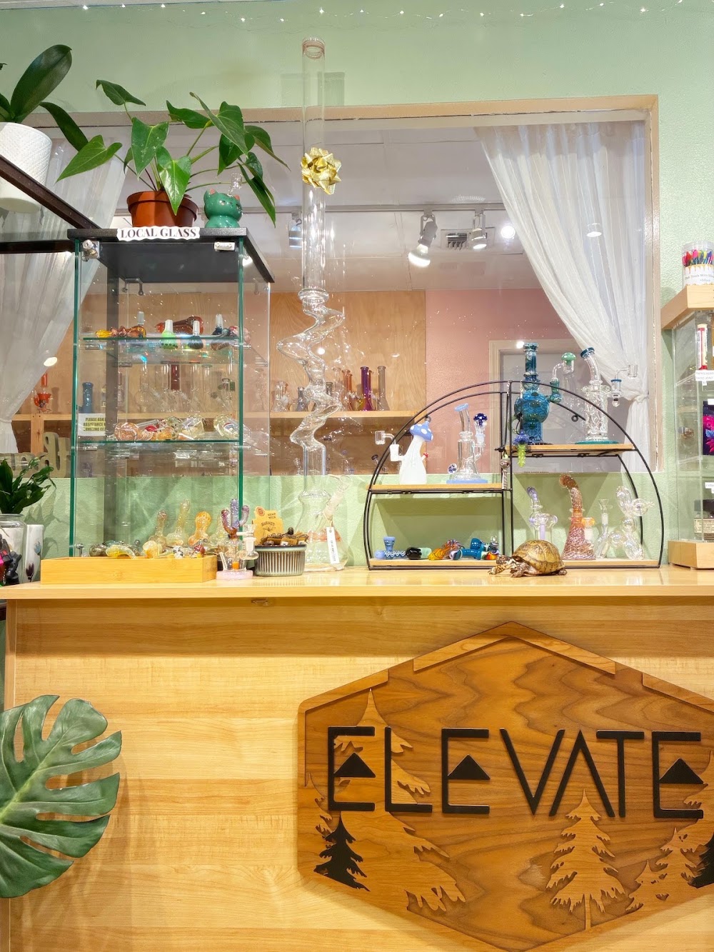 Elevate Shasta Wellness photo 4