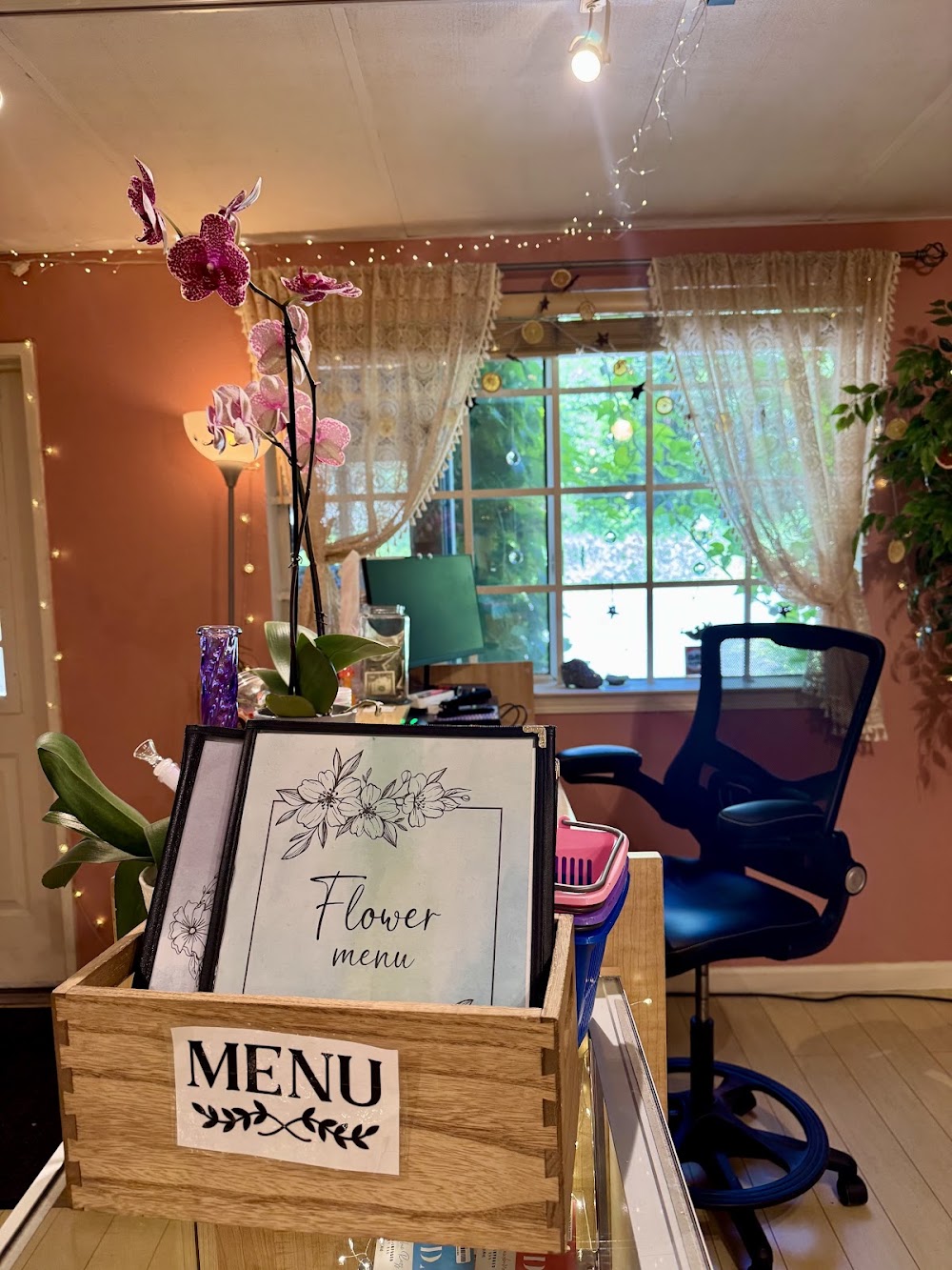 Elevate Shasta Wellness photo 8