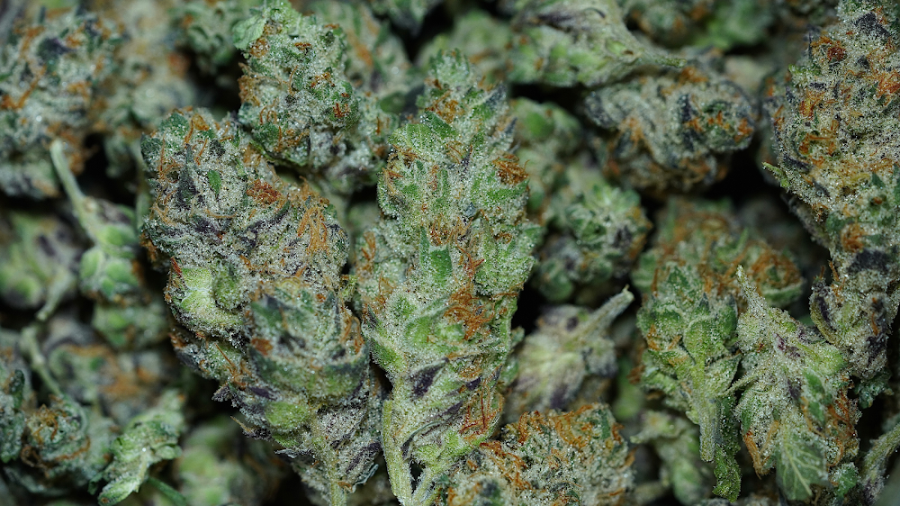 Emerald City Wellness photo 2