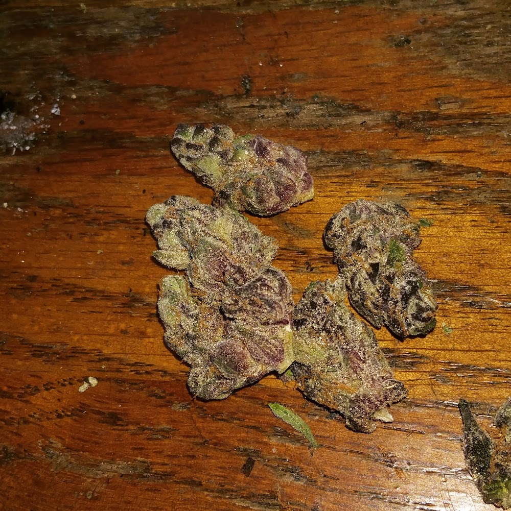 Emerald Haze Cannabis Emporium photo 3