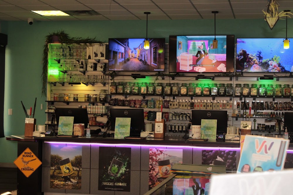 Enchanted Botanicals Nm - Menaul photo 5