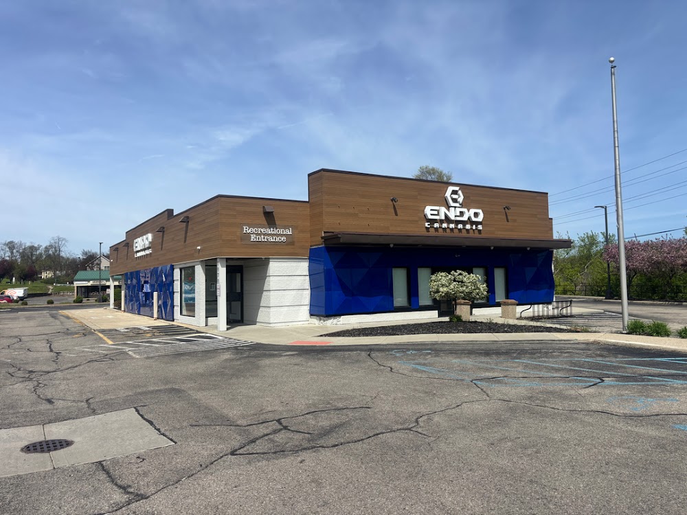 Endo Ypsilanti photo 1