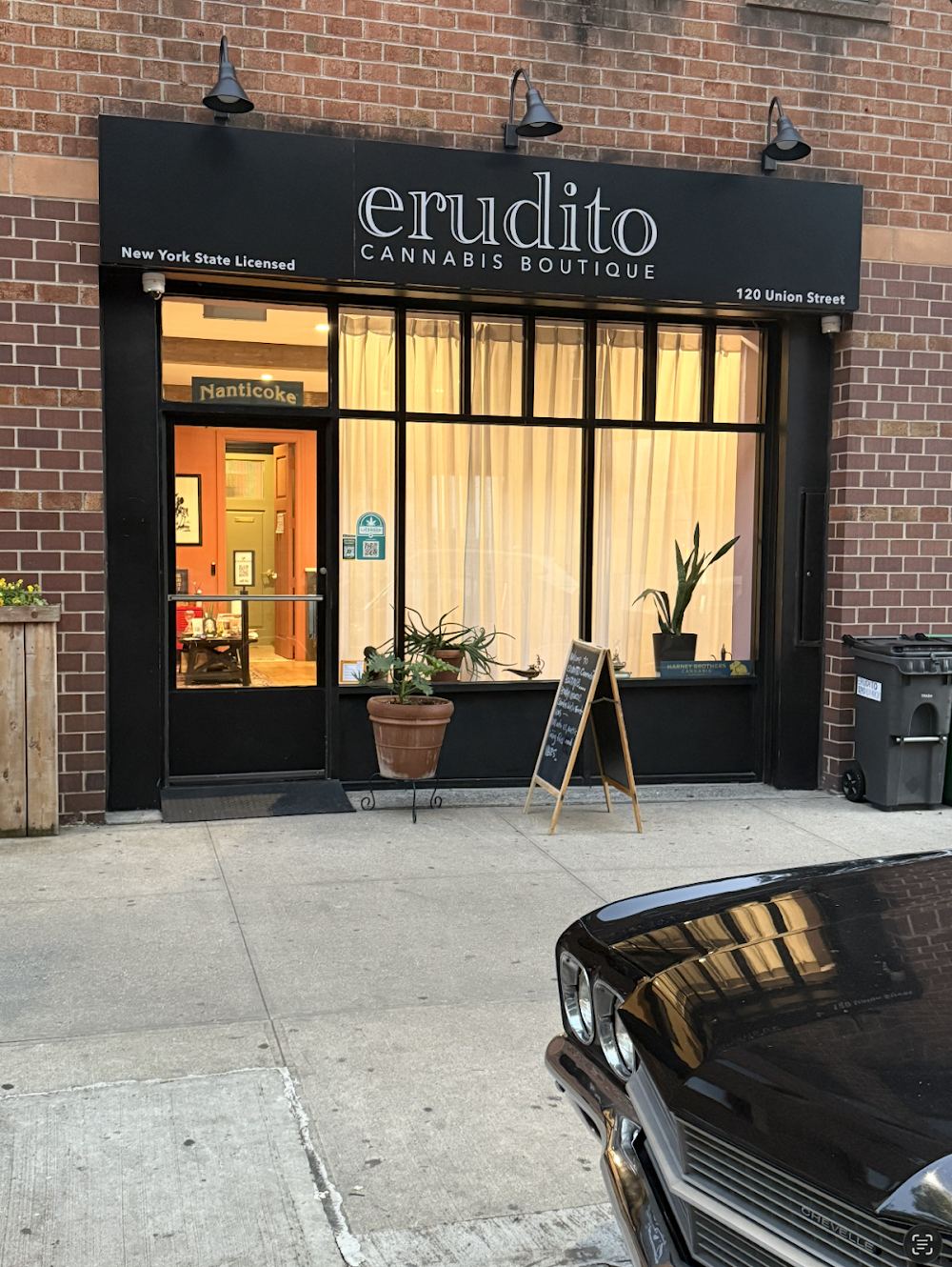 Erudito Cannabis Boutique photo 1