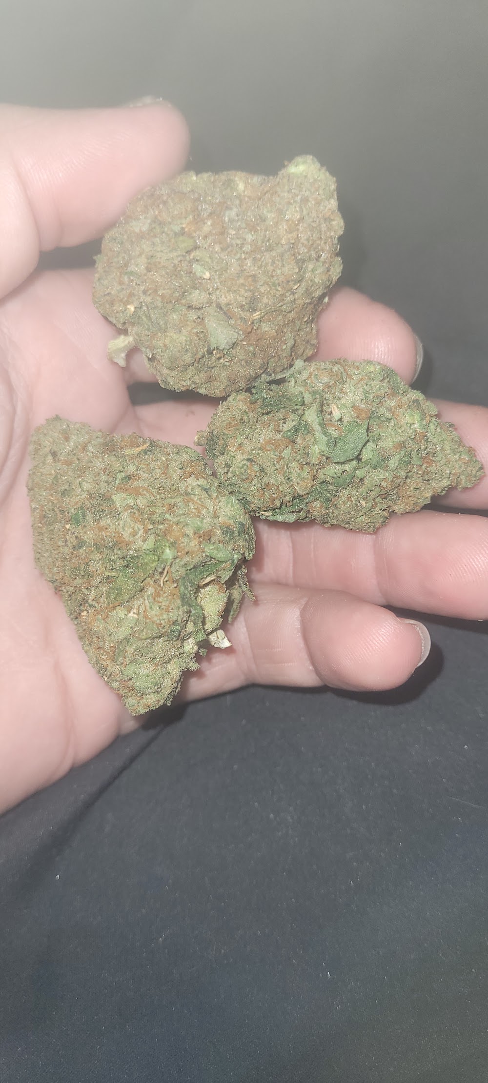 Ethos - Ne Philadelphia photo 8