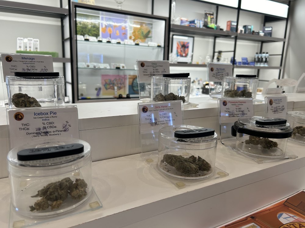 Euphoria Wellness photo 8