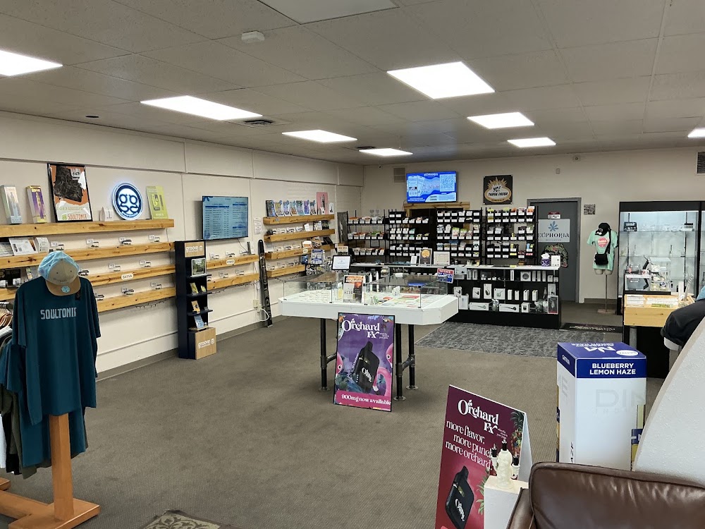 Euphoria Wellness photo 2