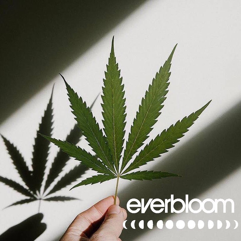 Everbloom photo 8