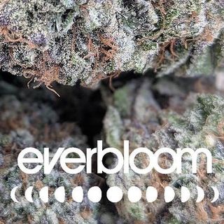 Everbloom photo 1