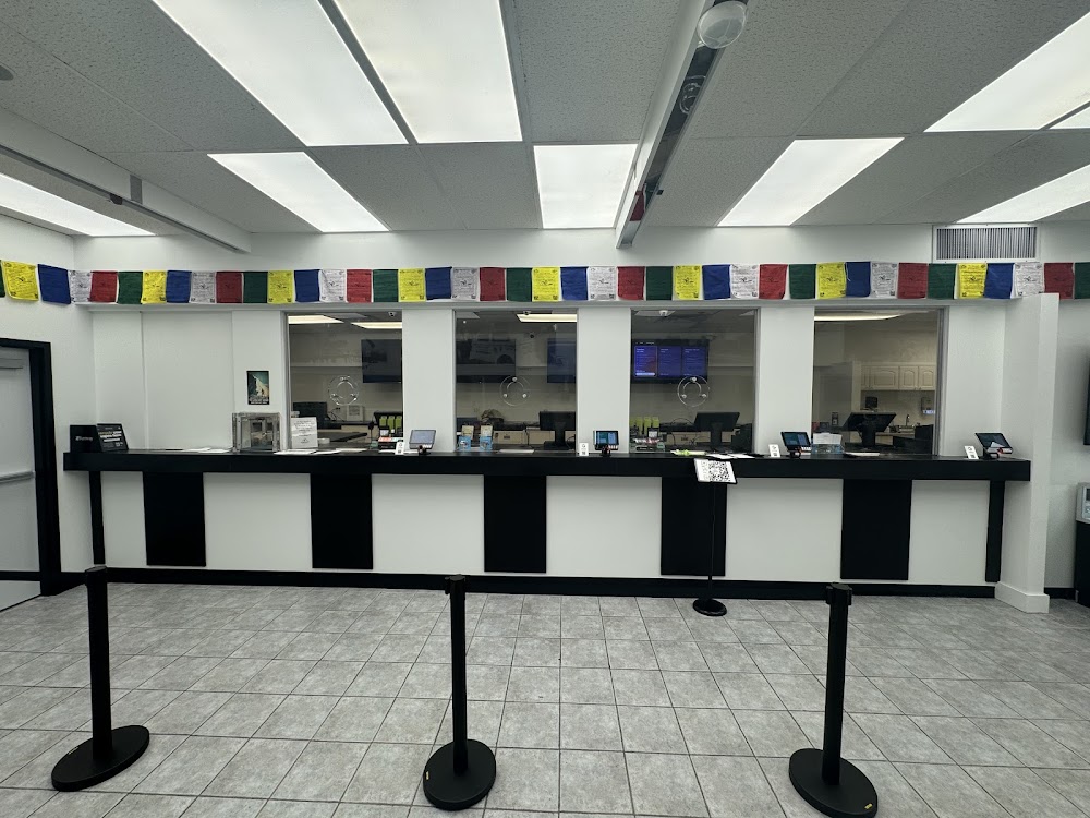 Everest Dispensary photo 3