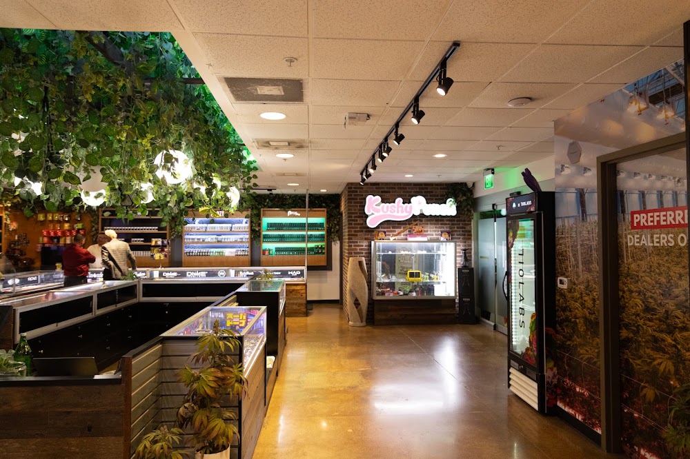 Evergreen photo 8