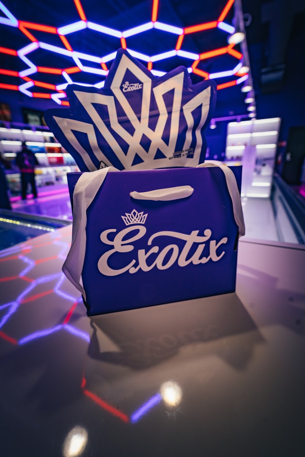Exotix photo 7