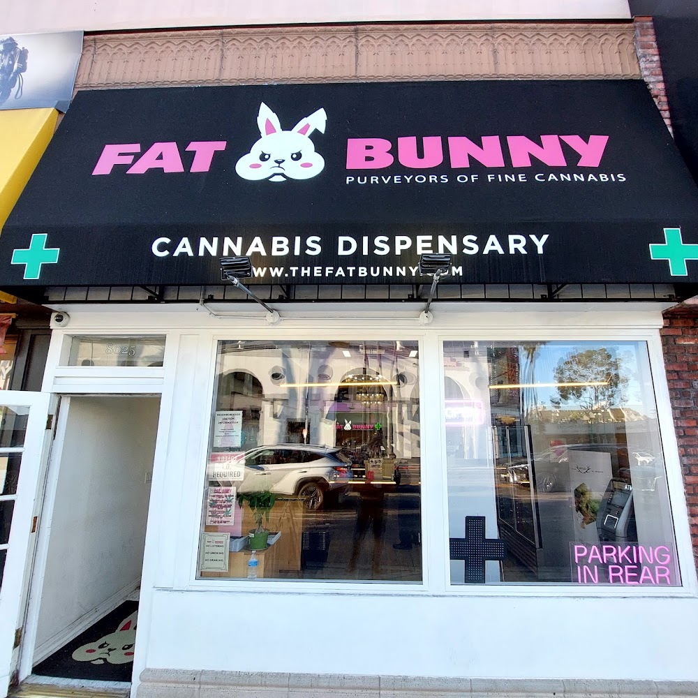 Fat Bunny photo 1