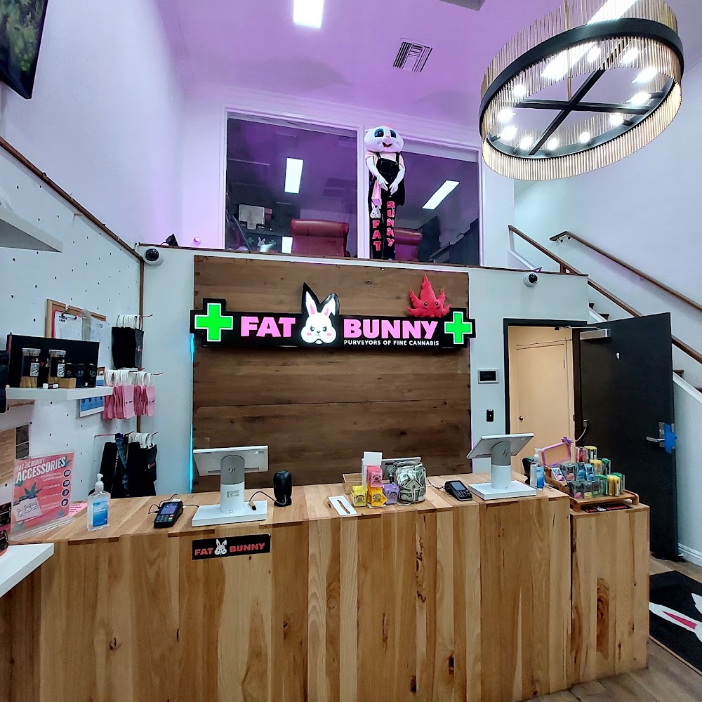 Fat Bunny photo 8